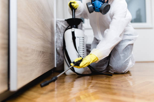 Best Emergency Pest Control  in Barton Creek, TX