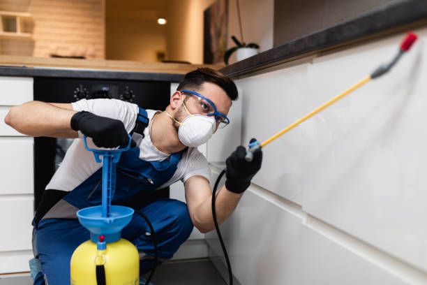 Best Pest Inspection Near Me  in Barton Creek, TX