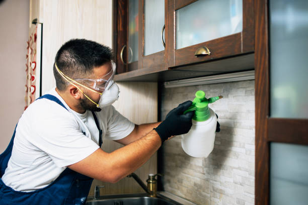 Best Residential Pest Control  in Barton Creek, TX