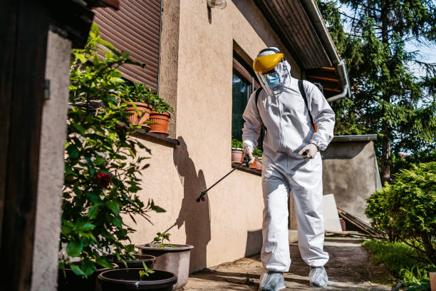 Best Cockroach Control Services  in Barton Creek, TX
