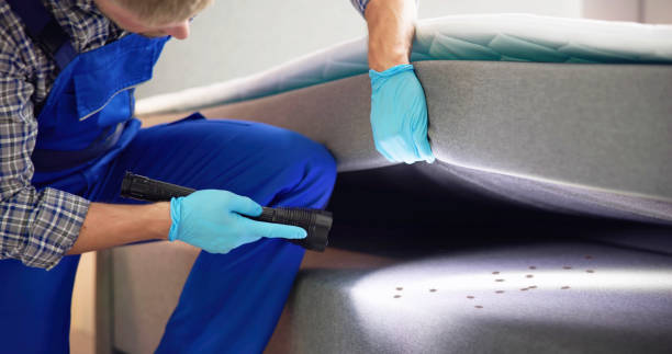 Best Pest Control for Restaurants  in Barton Creek, TX