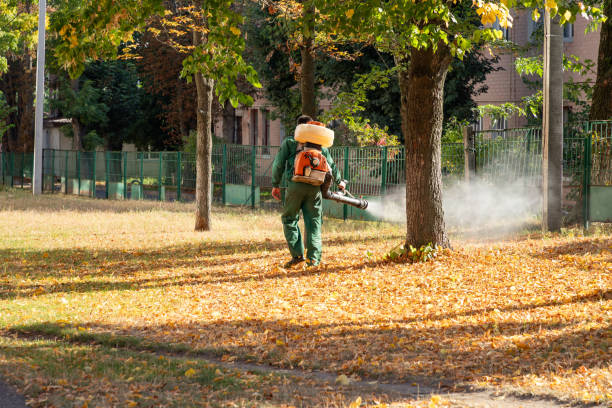 Best Best Pest Control Companies  in Barton Creek, TX